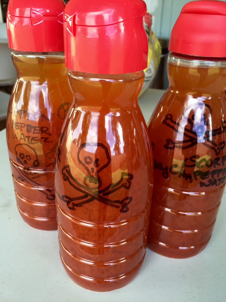 Not Your Mama’s Chili Pepper Water